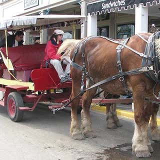 Mackinaw Island Carriage Tours