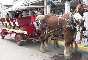 Photo of Mackinaw Island Carriage Tours