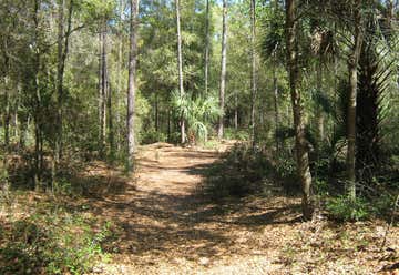Photo of Whispering Pines Park