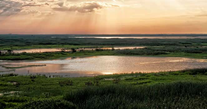 Edwin B Forsythe National Wildlife Refuge, Absecon Roadtrippers