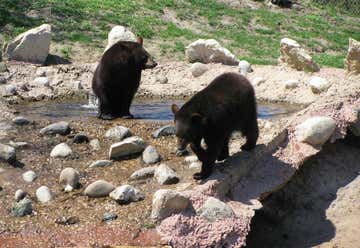Photo of Oswald's Bear Ranch