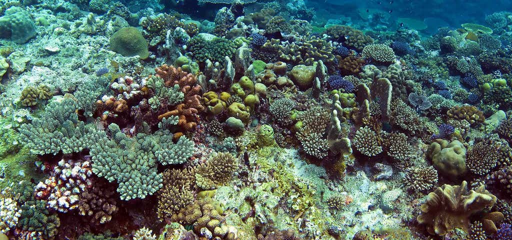 Photo of Buck Island Reef National Monument