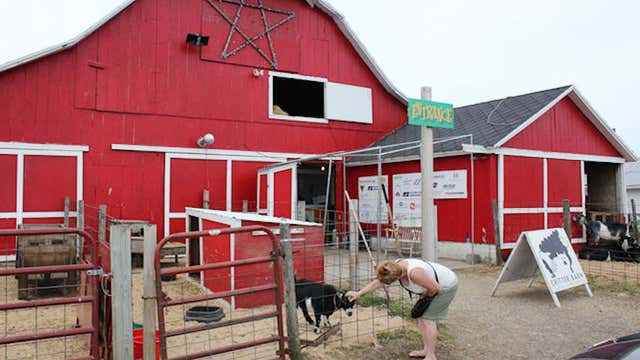 Critter Barn Zeeland Mi Roadtrippers