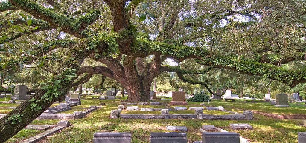 Photo of Glenwood Cemetery