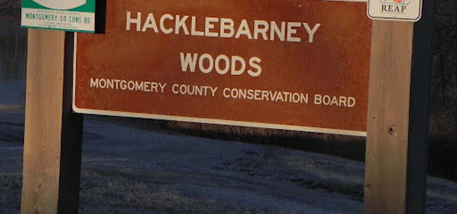 Photo of Hacklebarney Woods