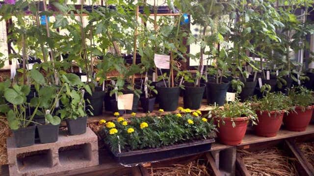 Highland Downs Cottage Garden Farm Ahwahnee Ca Roadtrippers