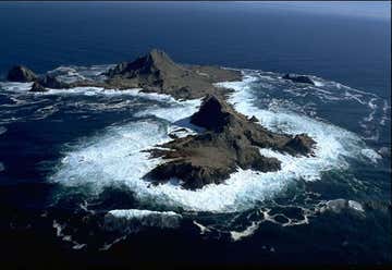 Photo of Gulf Of The Farallones National Marine Sanctuary