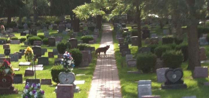 Photo of Hinsdale Animal Cemetery & Crematory