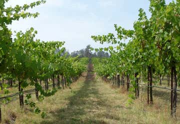 Photo of Madera Wine Trail