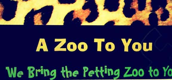Photo of A Zoo To You