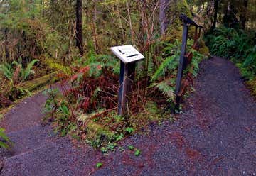 Photo of Quinault Rainforest Nature Loop
