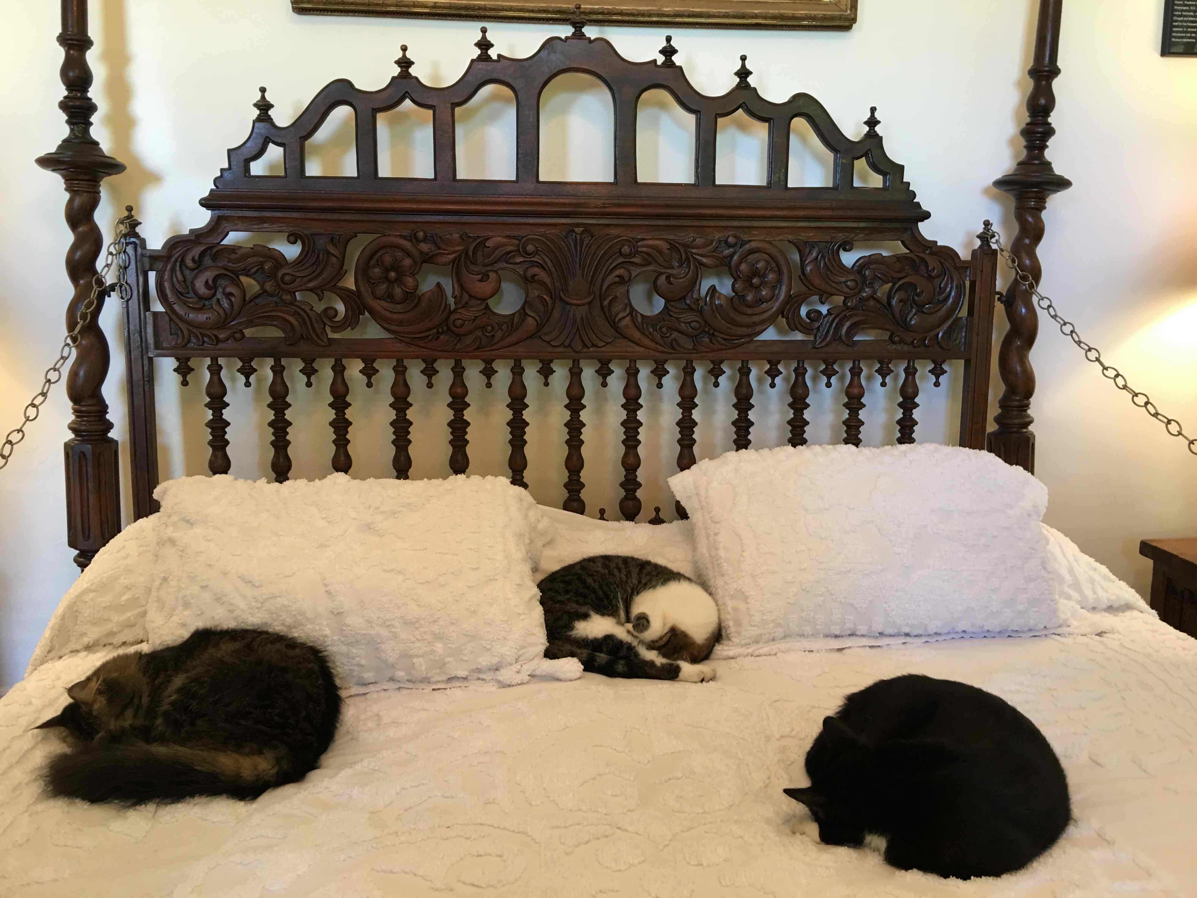 The Hemingway Home and Museum
