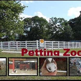 Petting Zoo Ocala