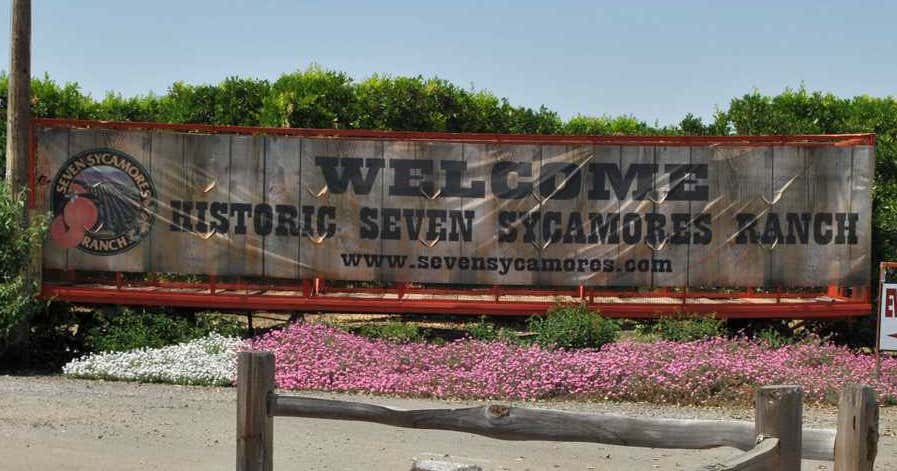 Historic Seven Sycamores Ranch, Ivanhoe Roadtrippers
