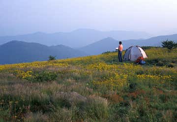 Photo of Roan Mountain State Park