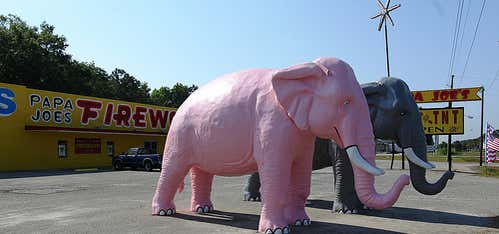 Photo of Huge Pink & Gray Elephants