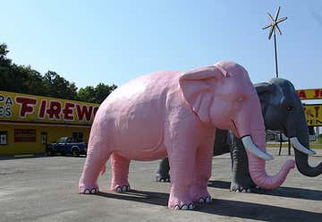 Photo of Huge Pink & Gray Elephants