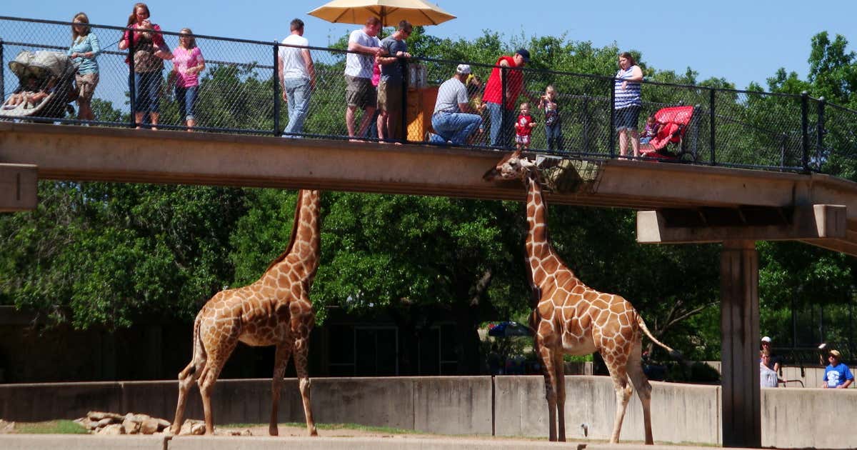 Abilene Zoological Gardens, Abilene Roadtrippers