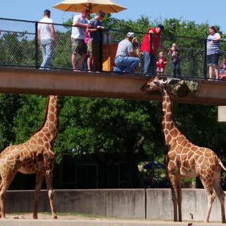 Abilene Zoological Gardens