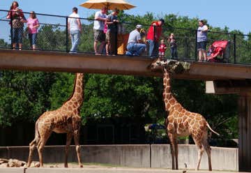 Photo of Abilene Zoological Gardens