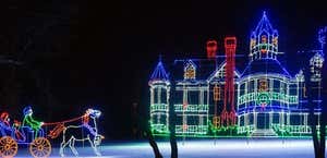 Bright Nights At Forest Park