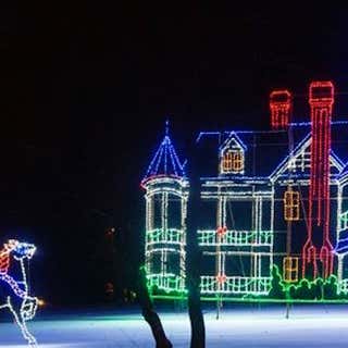 Bright Nights At Forest Park