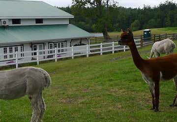 Photo of Krystal Acres Alpaca Farm and Country Store