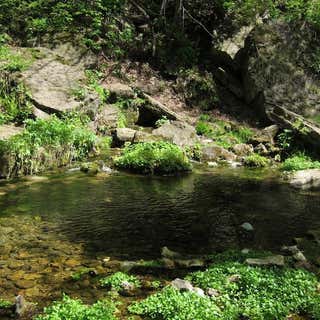 Beaver Creek Nature Area