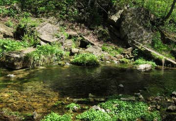 Photo of Beaver Creek Nature Area