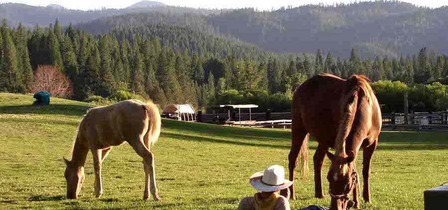 Photo of Liberty Valley Ranch