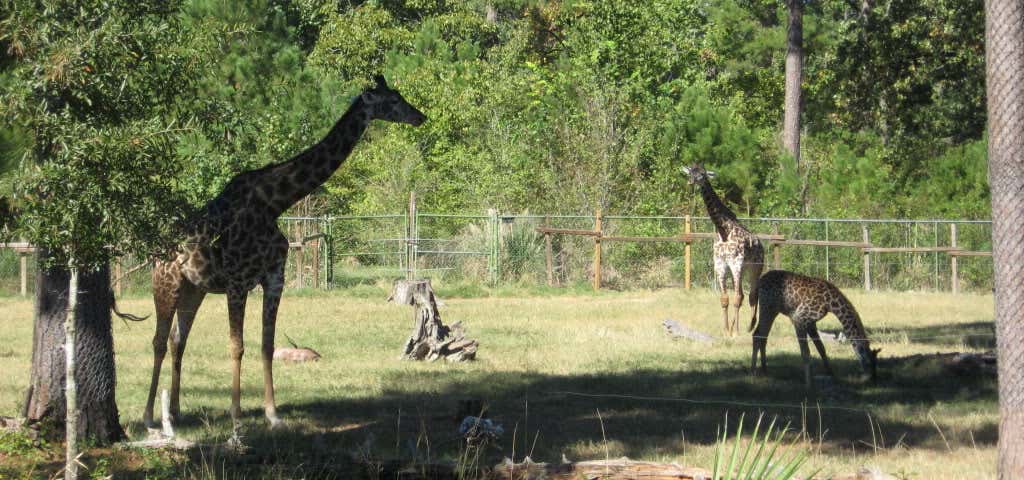 Photo of Ellen Trout Zoo Lufkin,Tx