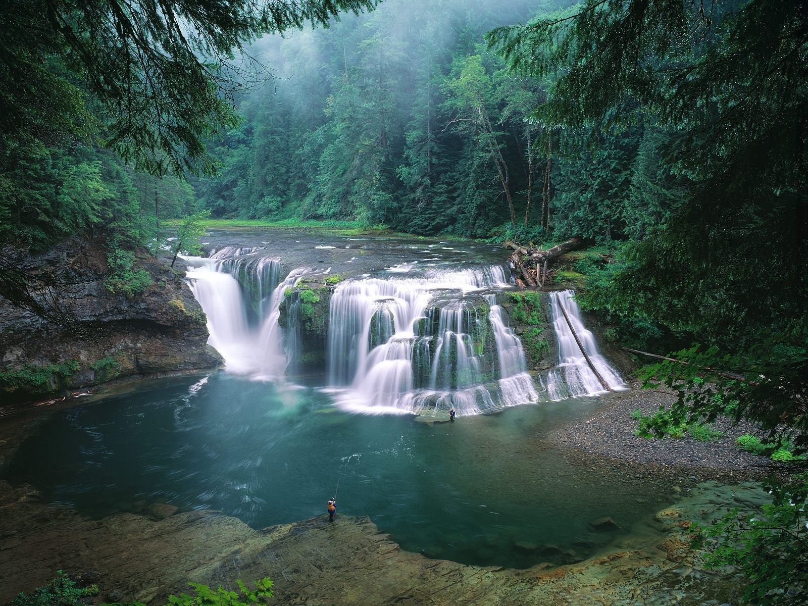 Lower Lewis River Falls