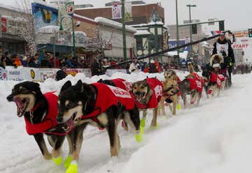 Photo of Nature's Kennel Iditaord Sled Dog Racing & Adventures