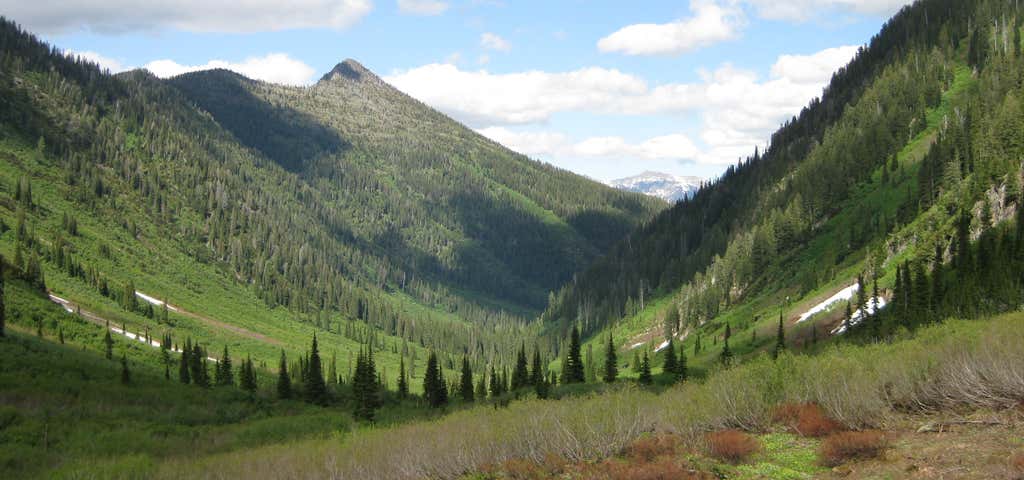 Photo of Flathead National Forest