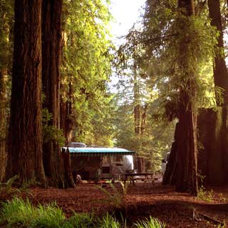 Emerald Forest Cabins & RV