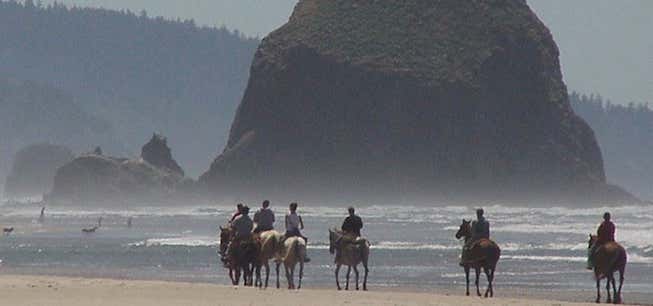 Photo of Sea Ranch Stable & Horseback Riding