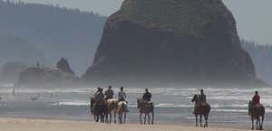 Sea Ranch Stable & Horseback Riding