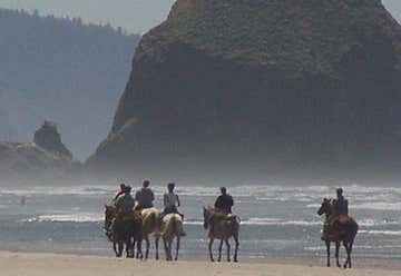 Photo of Sea Ranch Stable & Horseback Riding