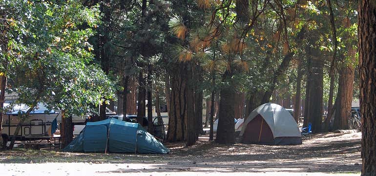Photo of Yosemite Creek Campground
