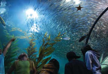 Photo of Aquarium of the Bay