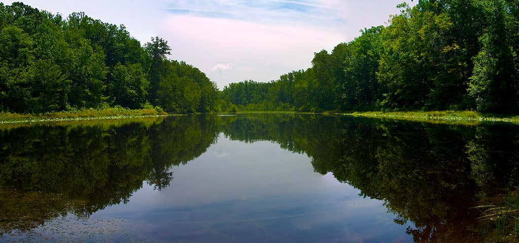 Photo of Cedarville State Forest