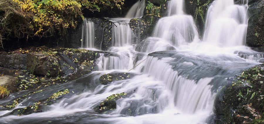 Photo of Alsea Falls
