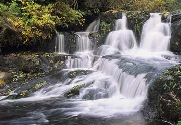 Photo of Alsea Falls