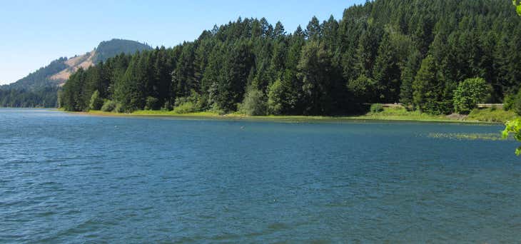Photo of Dorena Lake