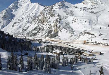 Photo of Alta Ski Area