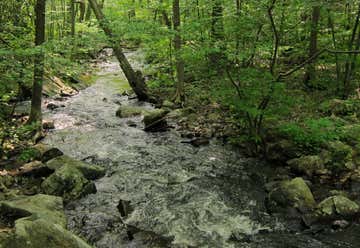 Photo of Elk Neck State Forest