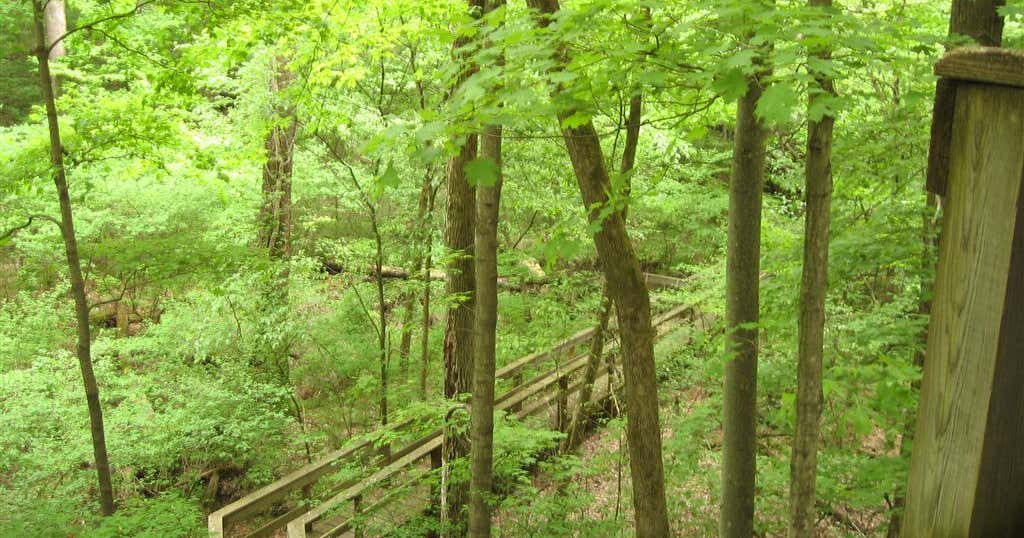 Harmonie State Park, New Harmony | Roadtrippers