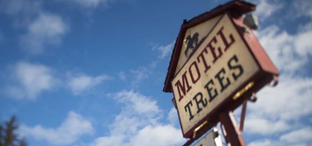 Photo of Motel Trees