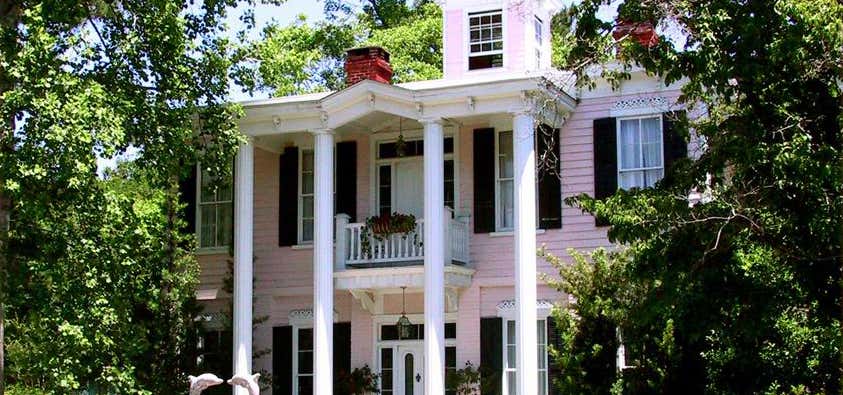 Photo of The Pink Dolphin Bed and Breakfast