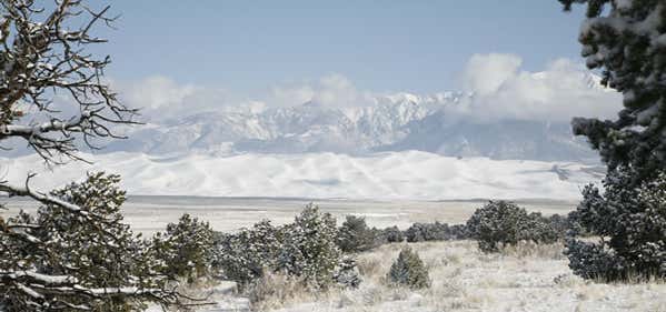 Photo of Great Sand Dunes Oasis